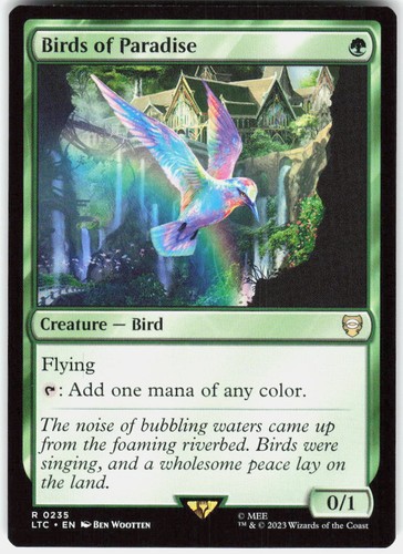 Birds paradise magic - of,